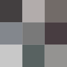 220px-Color_icon_gray_v2.svg